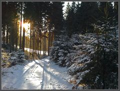 Winterwanderung 2