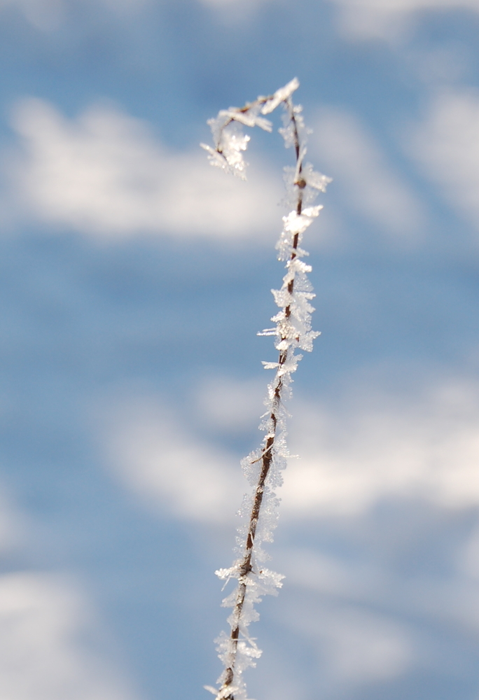 Winterwanderung 2