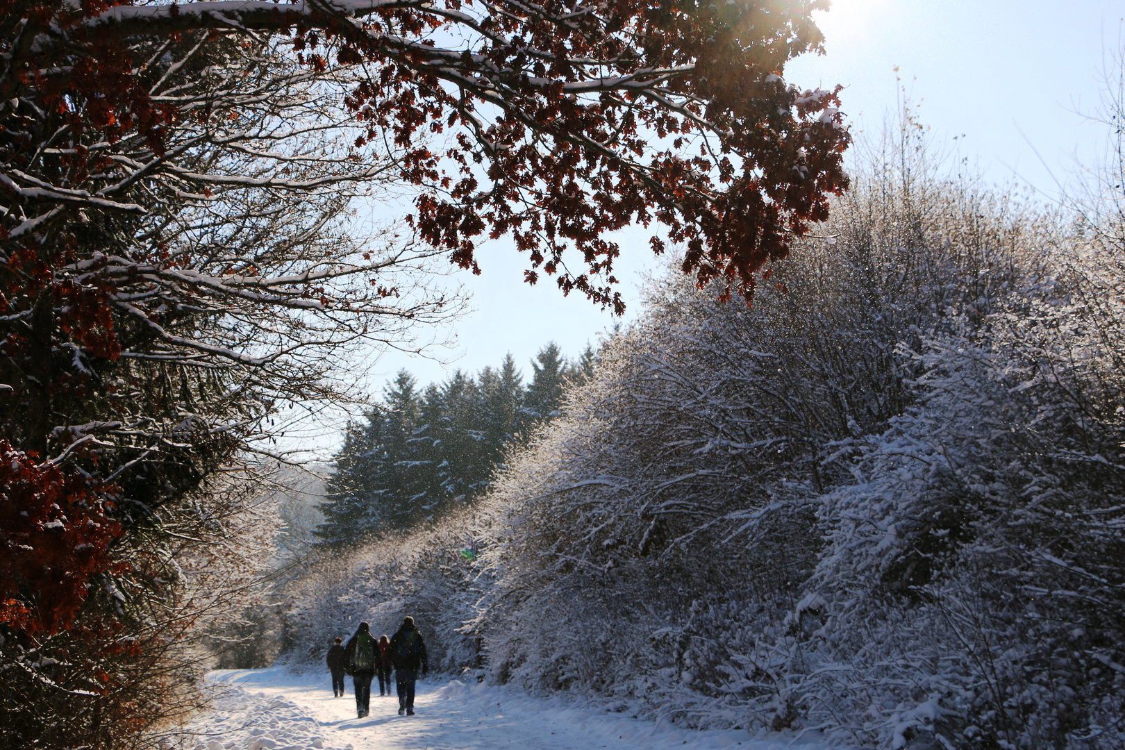 Winterwanderung 2014