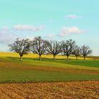 Winterwanderung 2014