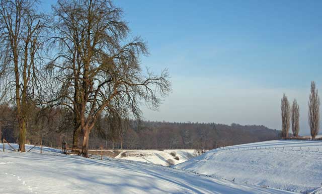 Winterwanderung 3