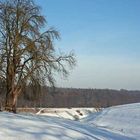 Winterwanderung 3