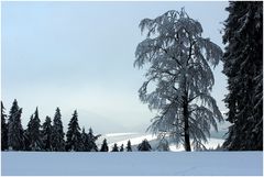 Winterwanderung # 3