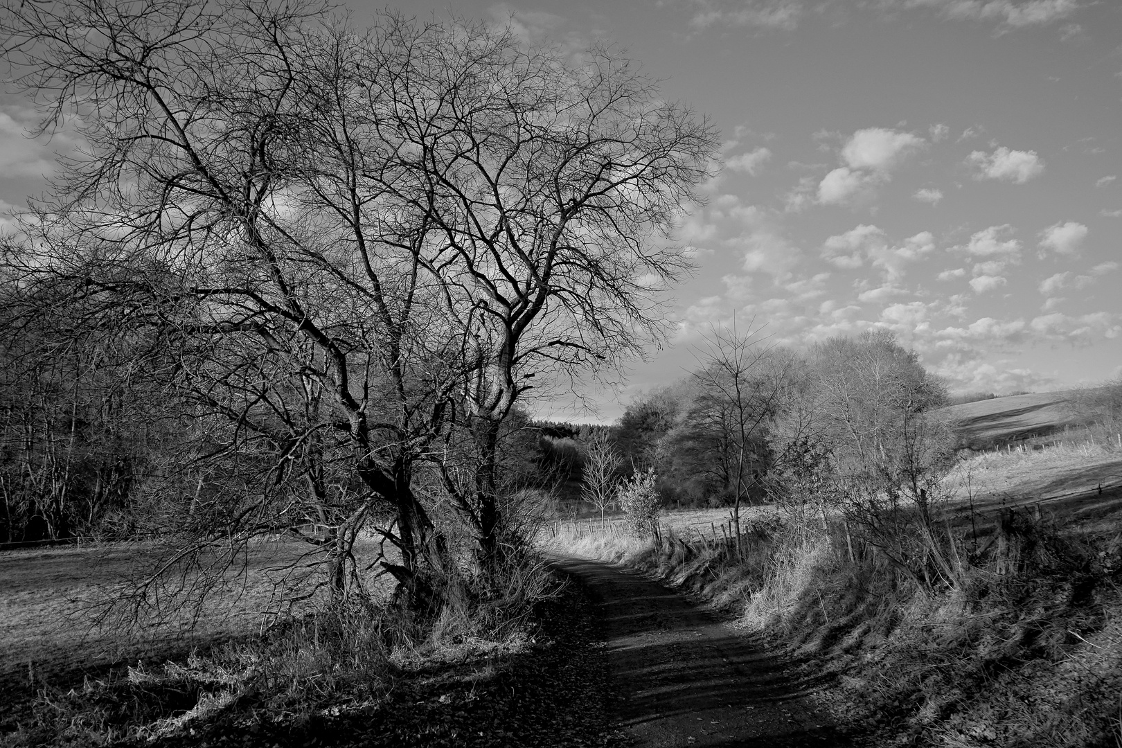 "Winter"wanderung 31.12.2021