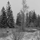 Winterwanderung