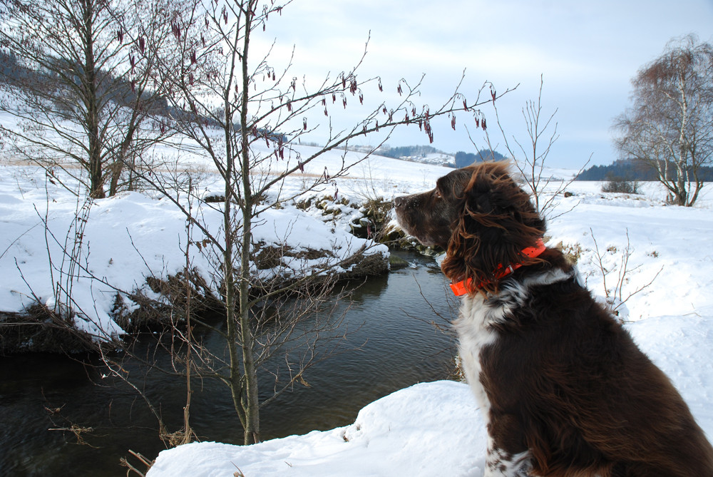 Winterwanderung