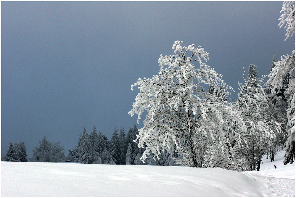 Winterwanderung # 4