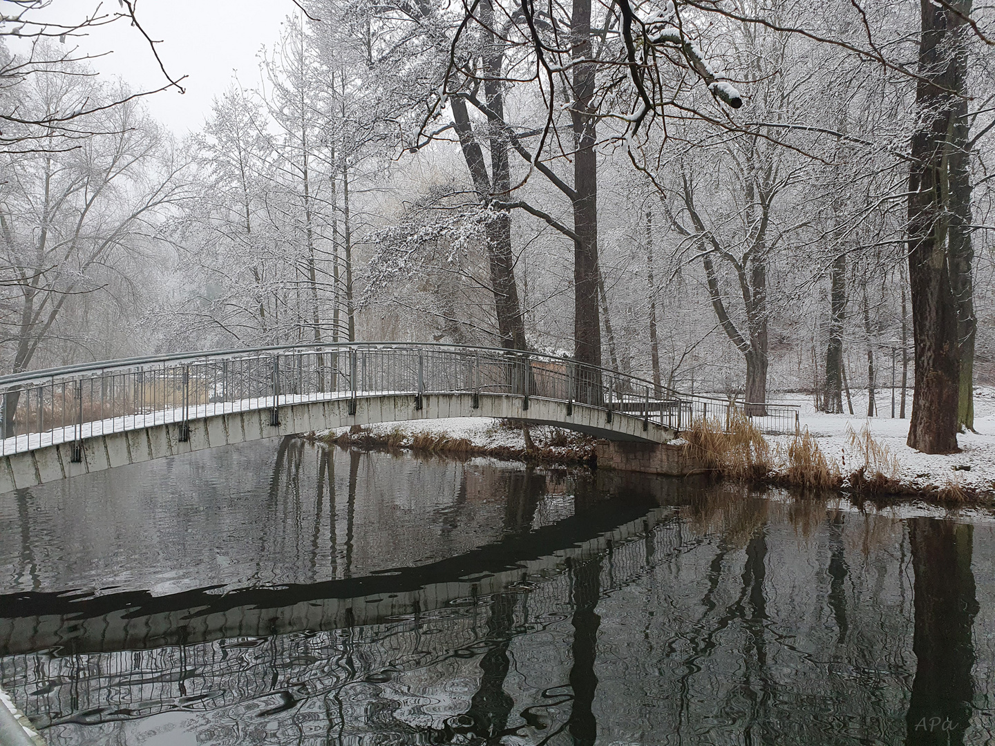 Winterwanderung (4)