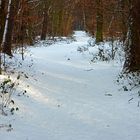 Winterwanderung