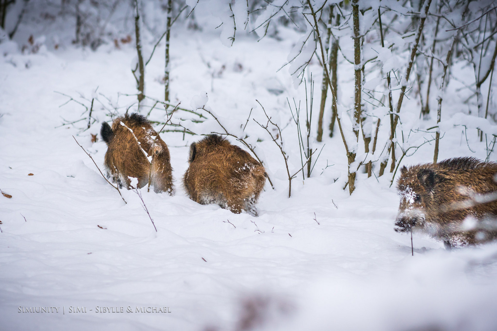 Winterwanderung