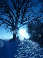 Winterwanderung