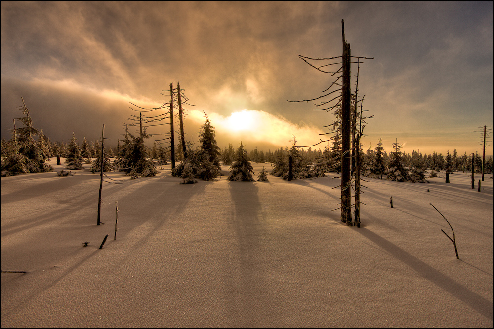 Winterwanderung