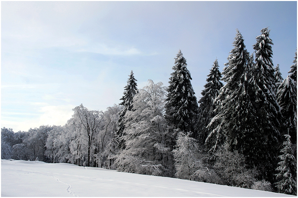 Winterwanderung # 6