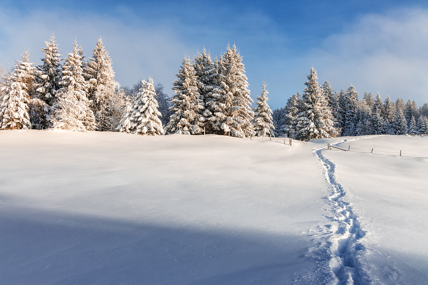 winterwanderung