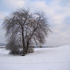 Winterwanderung