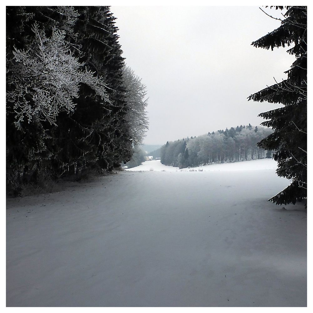 WinterWanderung ...