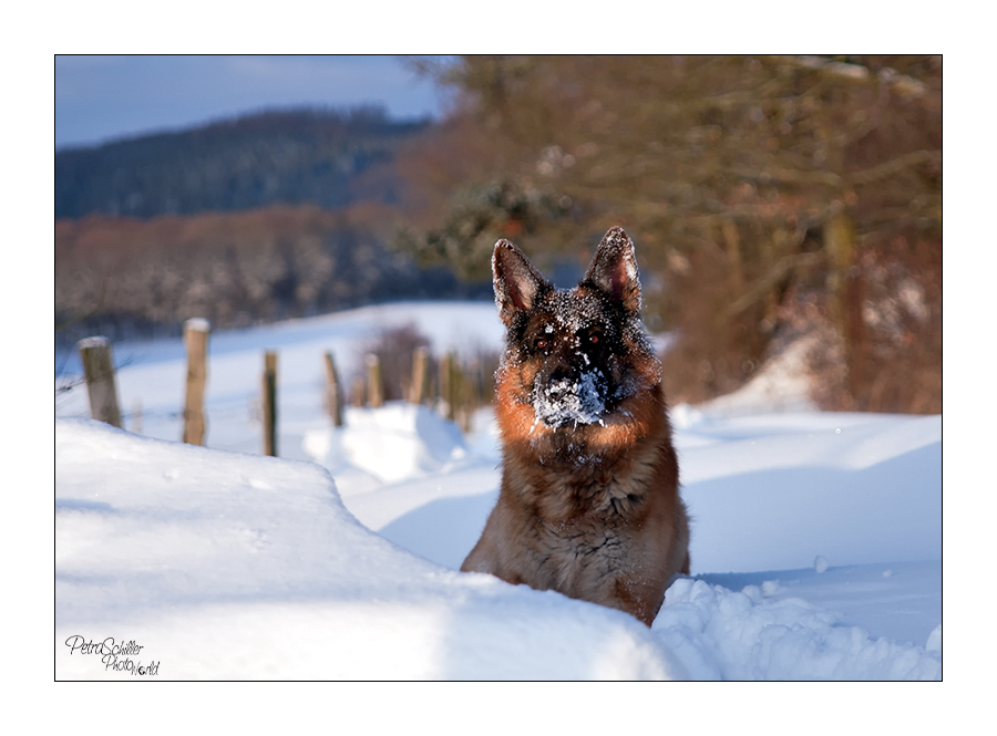 Winterwanderung