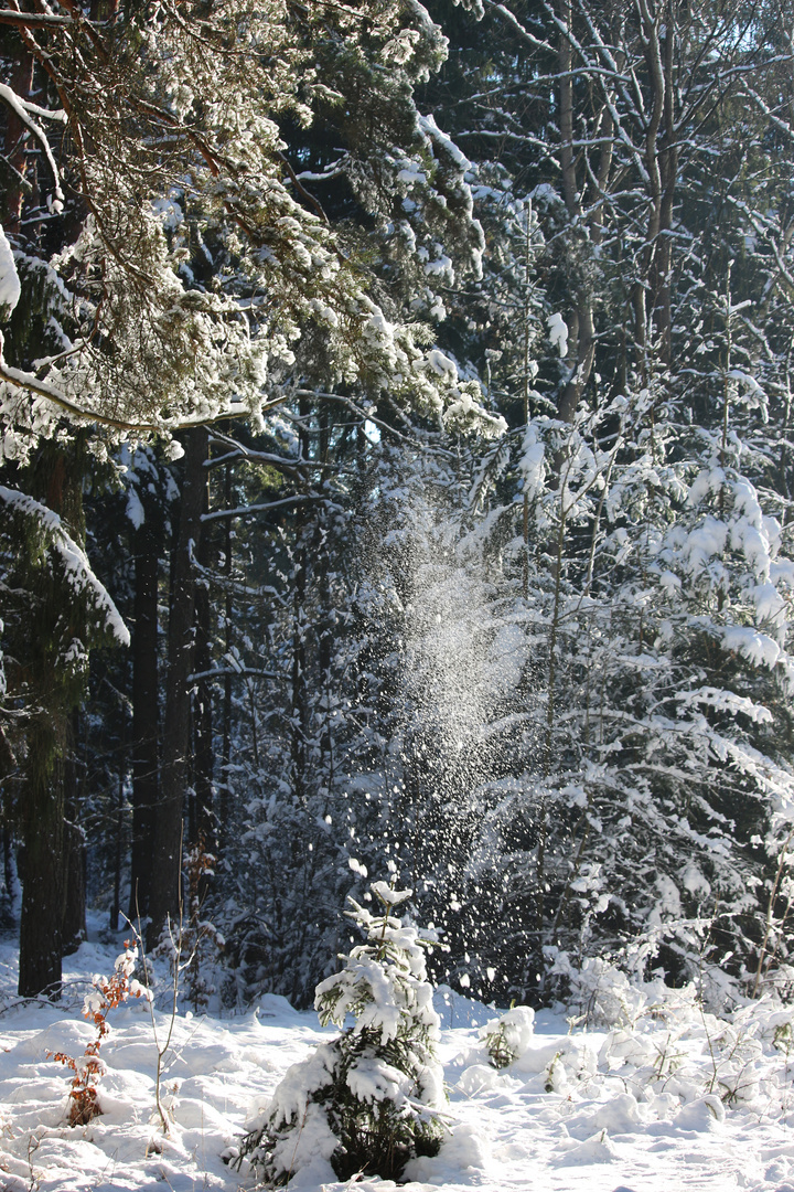 Winterwanderung