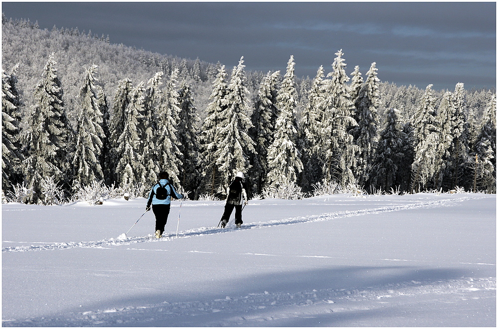 Winterwanderung # 8