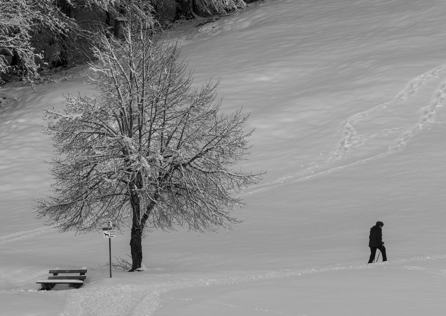 Winterwanderung