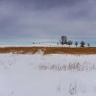 Winterwanderung