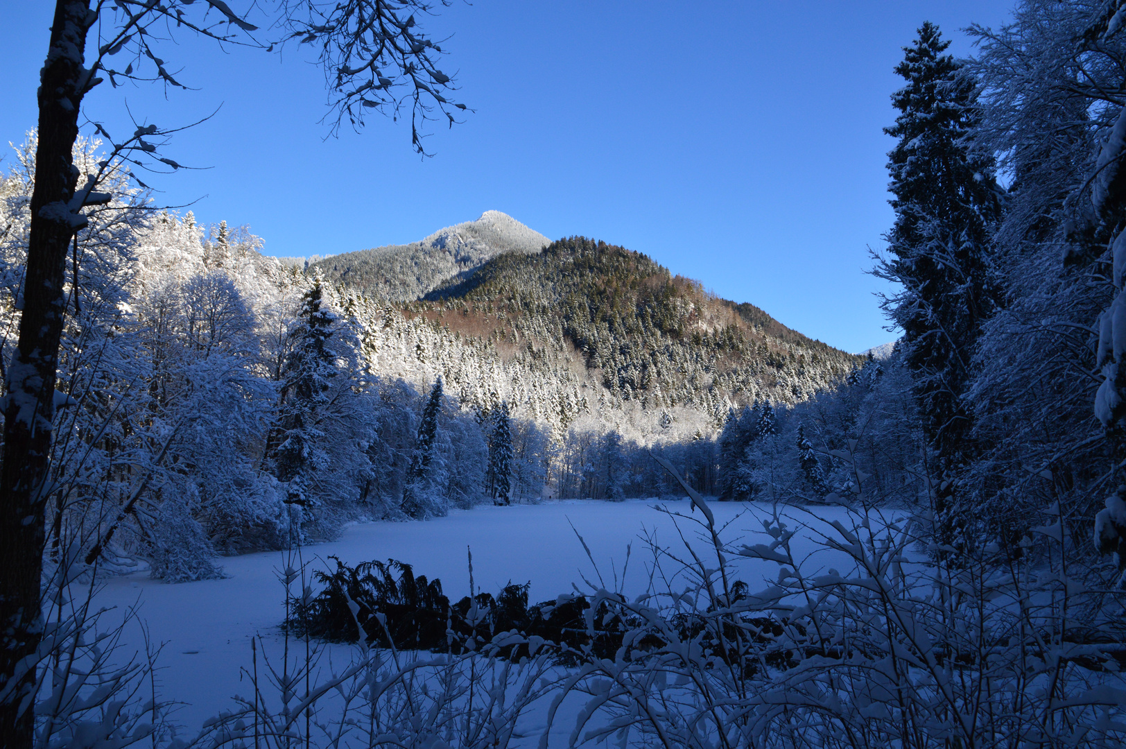 Winterwanderung