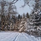 winterwanderung