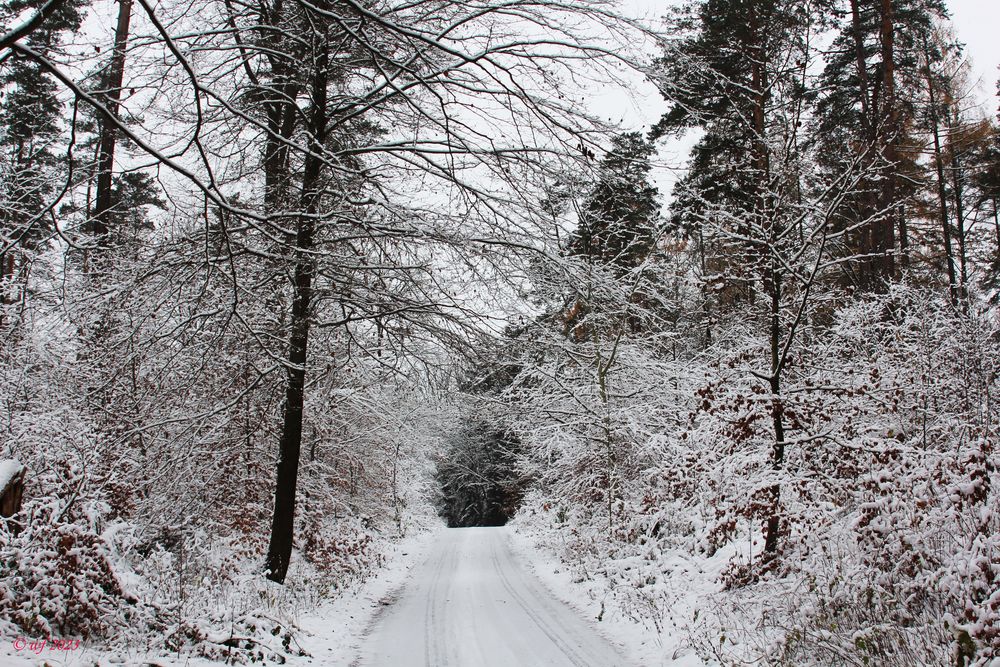 Winterwanderung