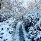 Winterwanderung