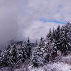 °°°° Winterwanderung am Schliffkopf °°°°