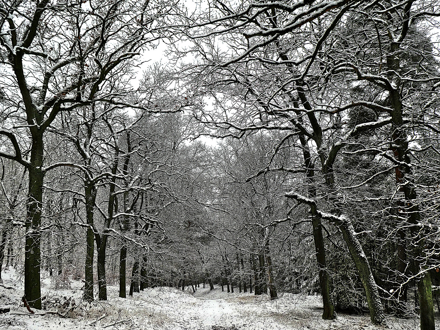 Winterwanderung am Schwielowsee