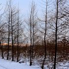 Winterwanderung am Spätnachmittag