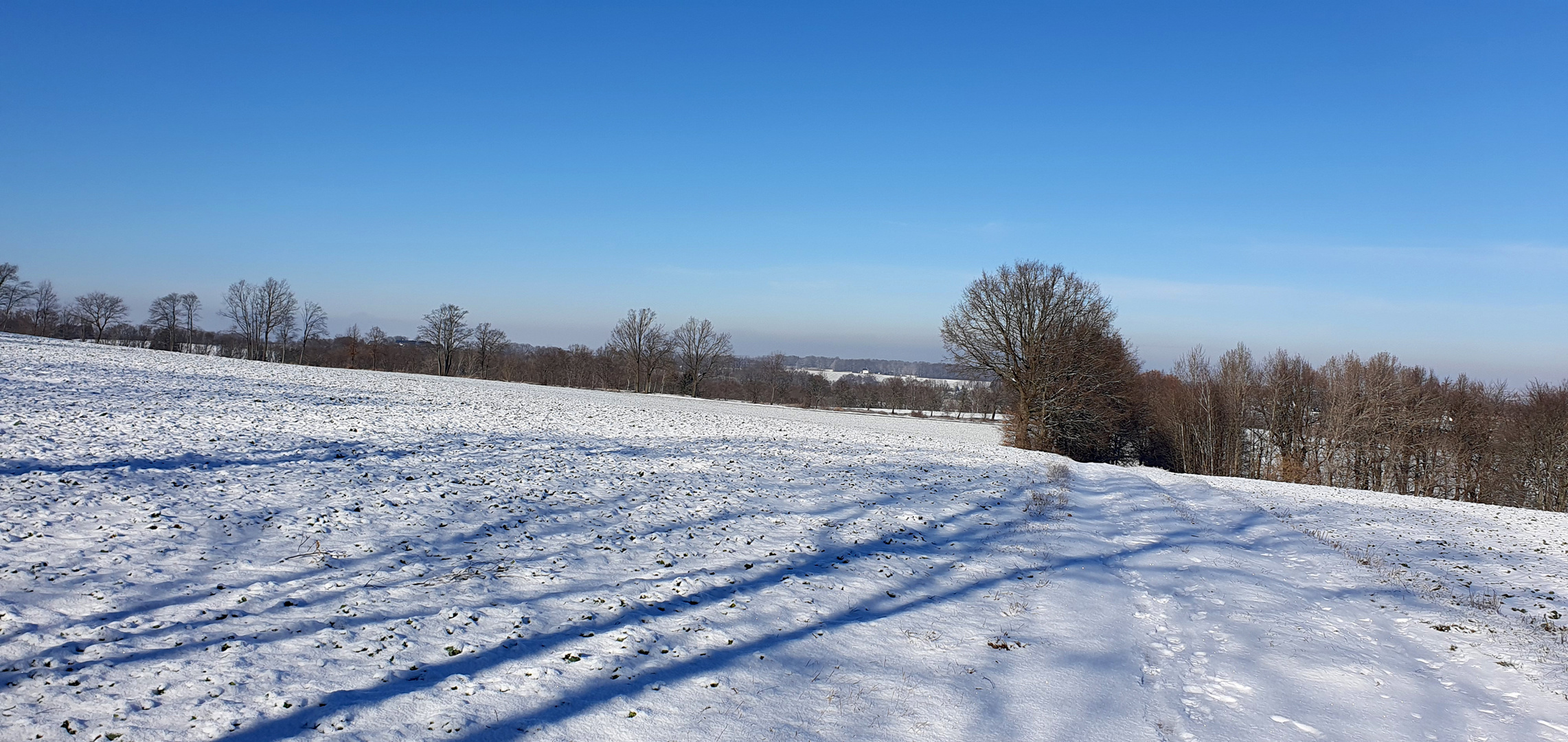 Winterwanderung am Stadtrand