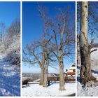 Winterwanderung am Stadtrand