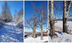 Winterwanderung am Stadtrand