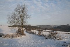 Winterwanderung auf dem Eifelsteig