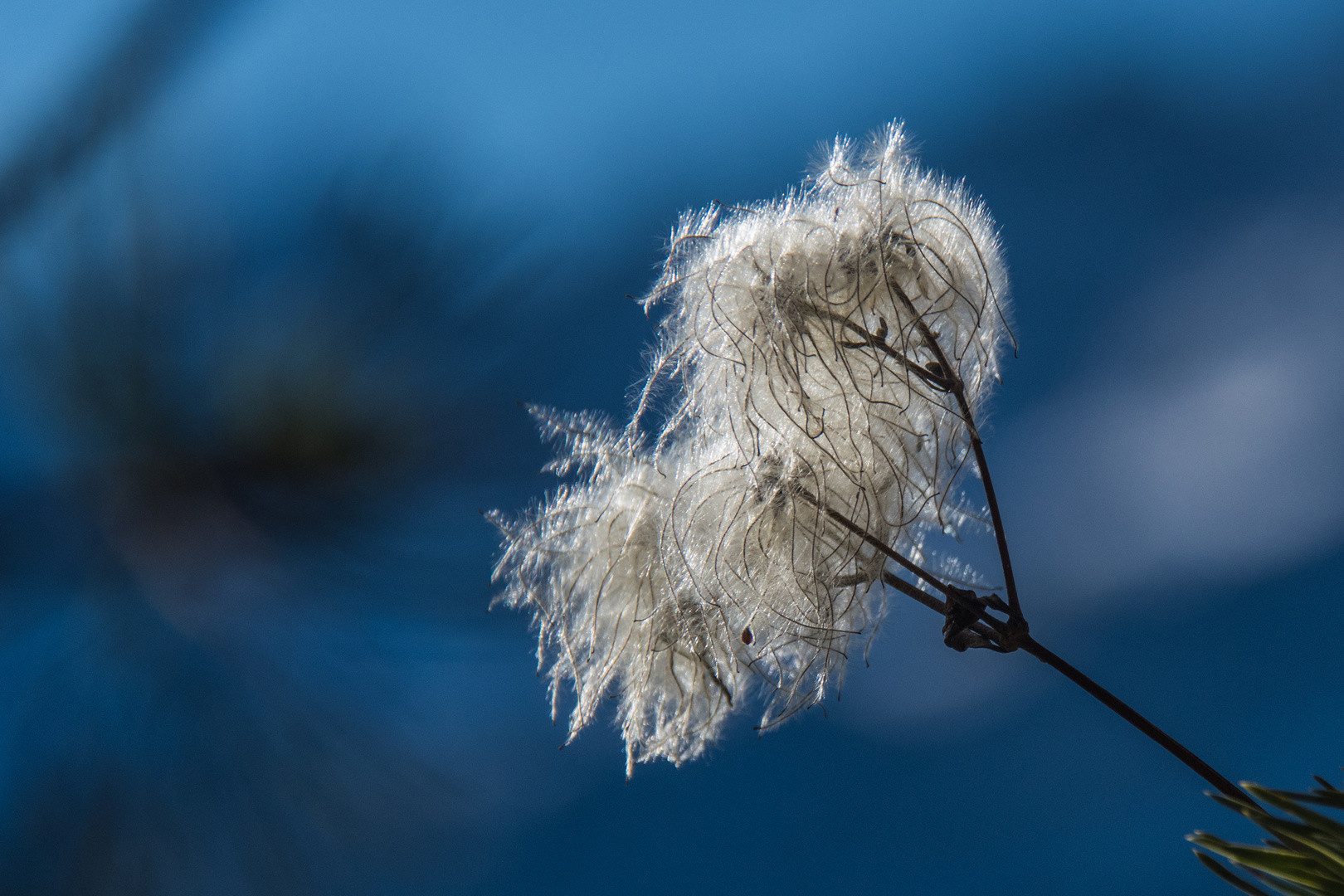 Winterwanderung auf den Wank