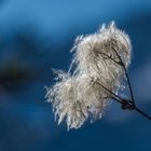 Winterwanderung auf den Wank