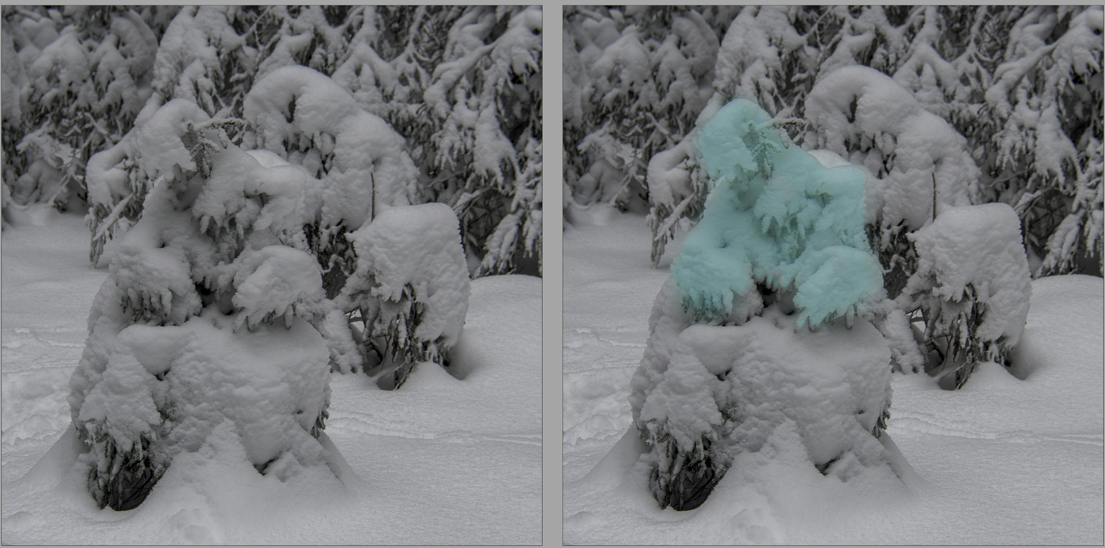 Winterwanderung auf die Neureuth: Wer ist hier eingeschneit worden?