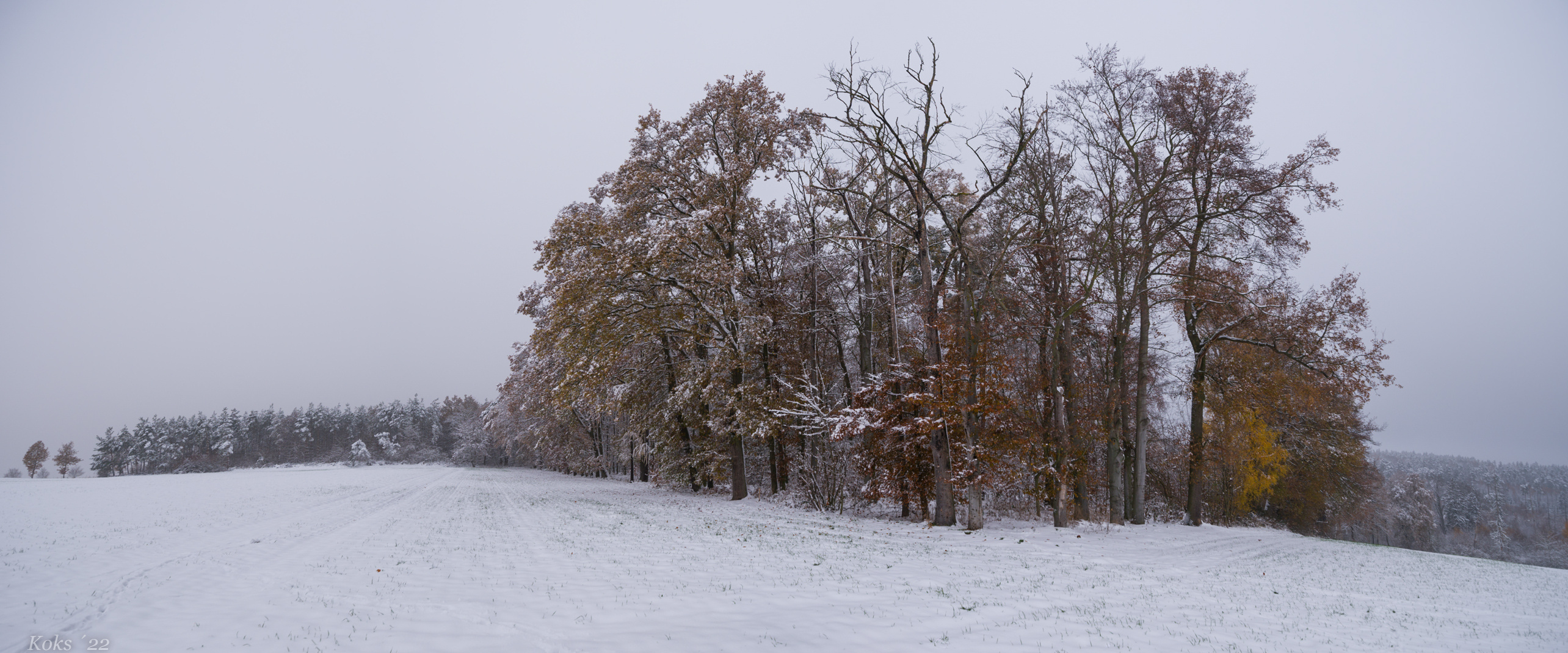 Winterwanderung