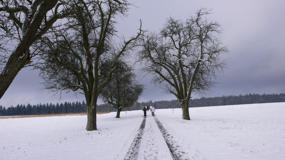 Winterwanderung