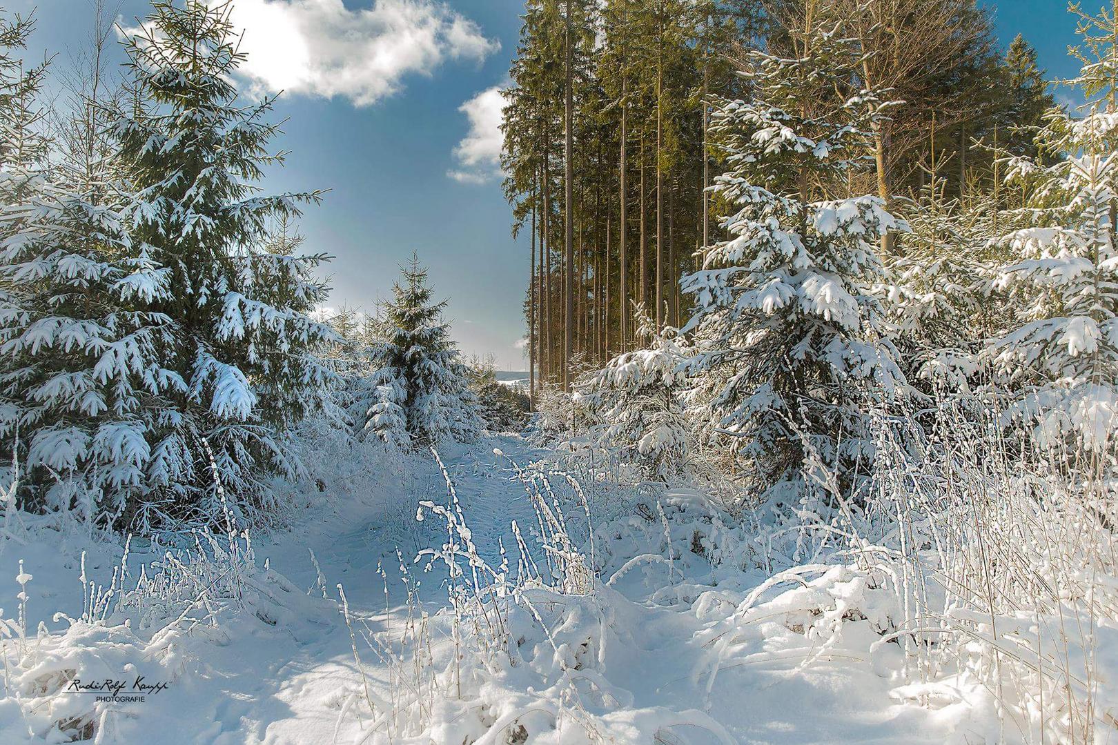 Winterwanderung