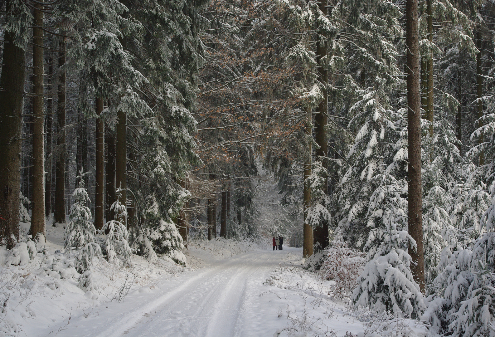 Winterwanderung