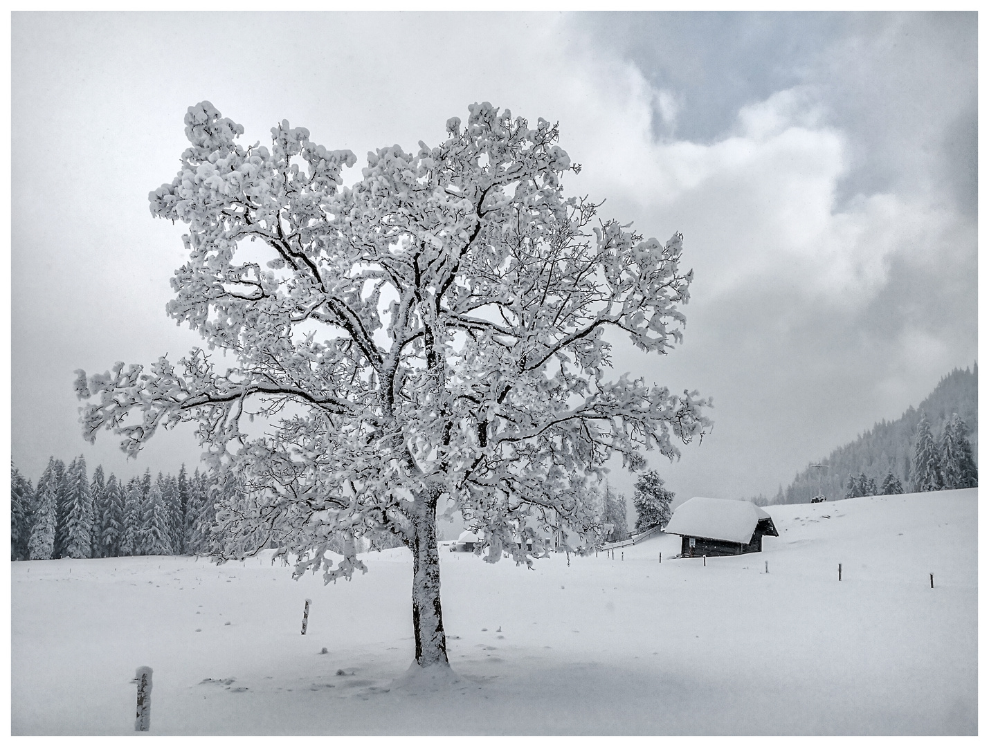 Winterwanderung bei minus 19 Grad / 3