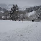 Winterwanderung bei Nenningen im Christental