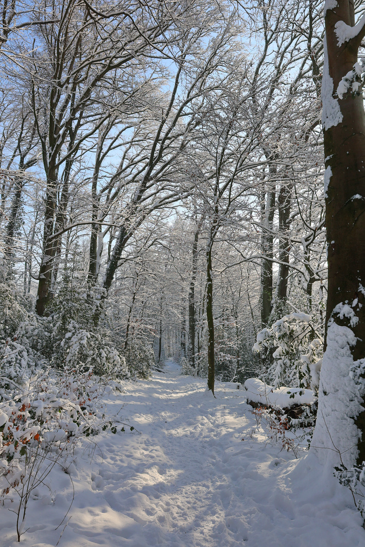 Winterwanderung beim Lerbacher Schloss