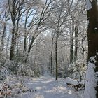 Winterwanderung beim Lerbacher Schloss