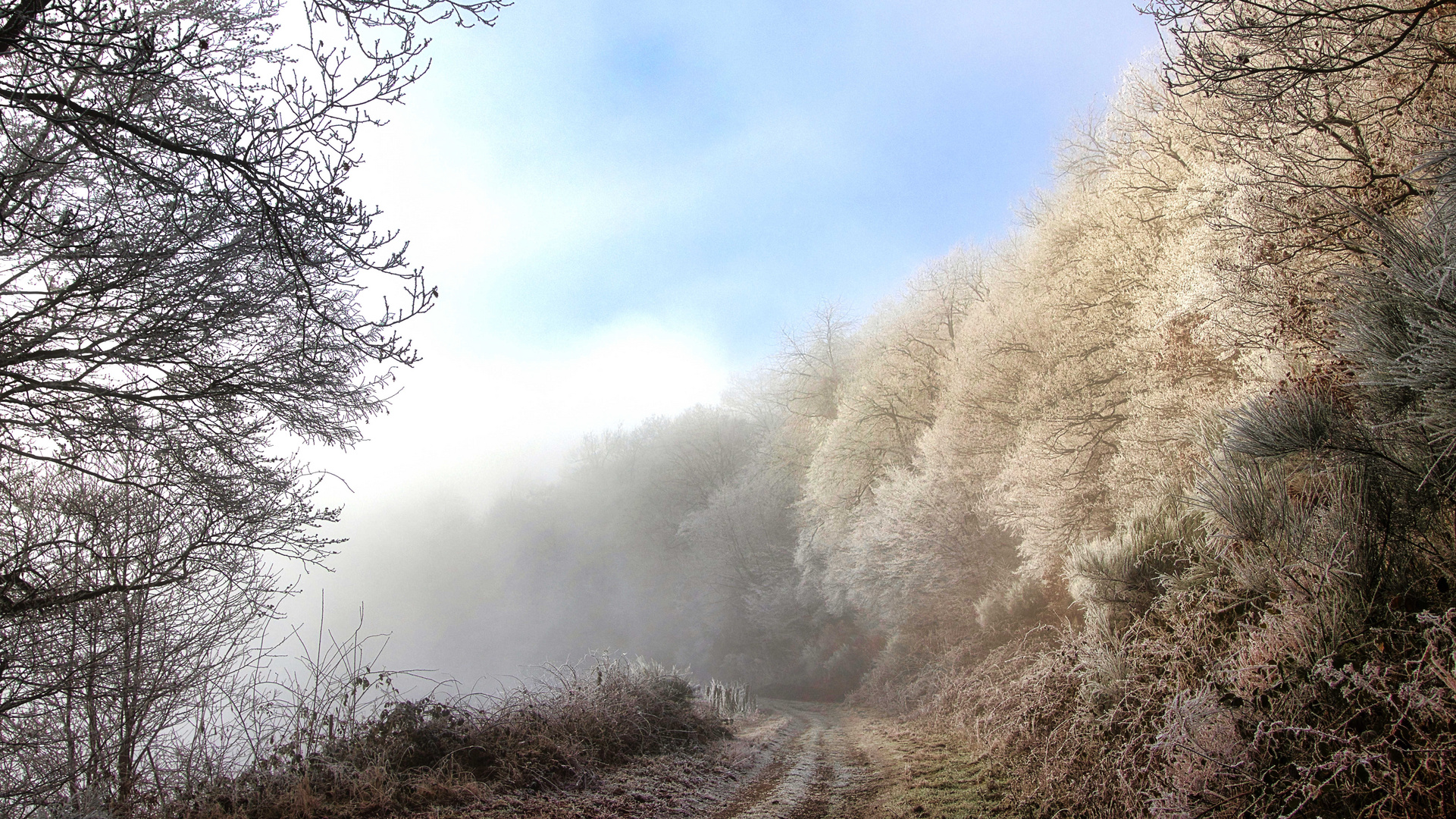 Winterwanderung