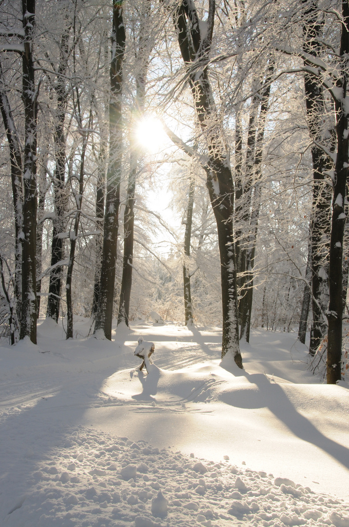 Winterwanderung