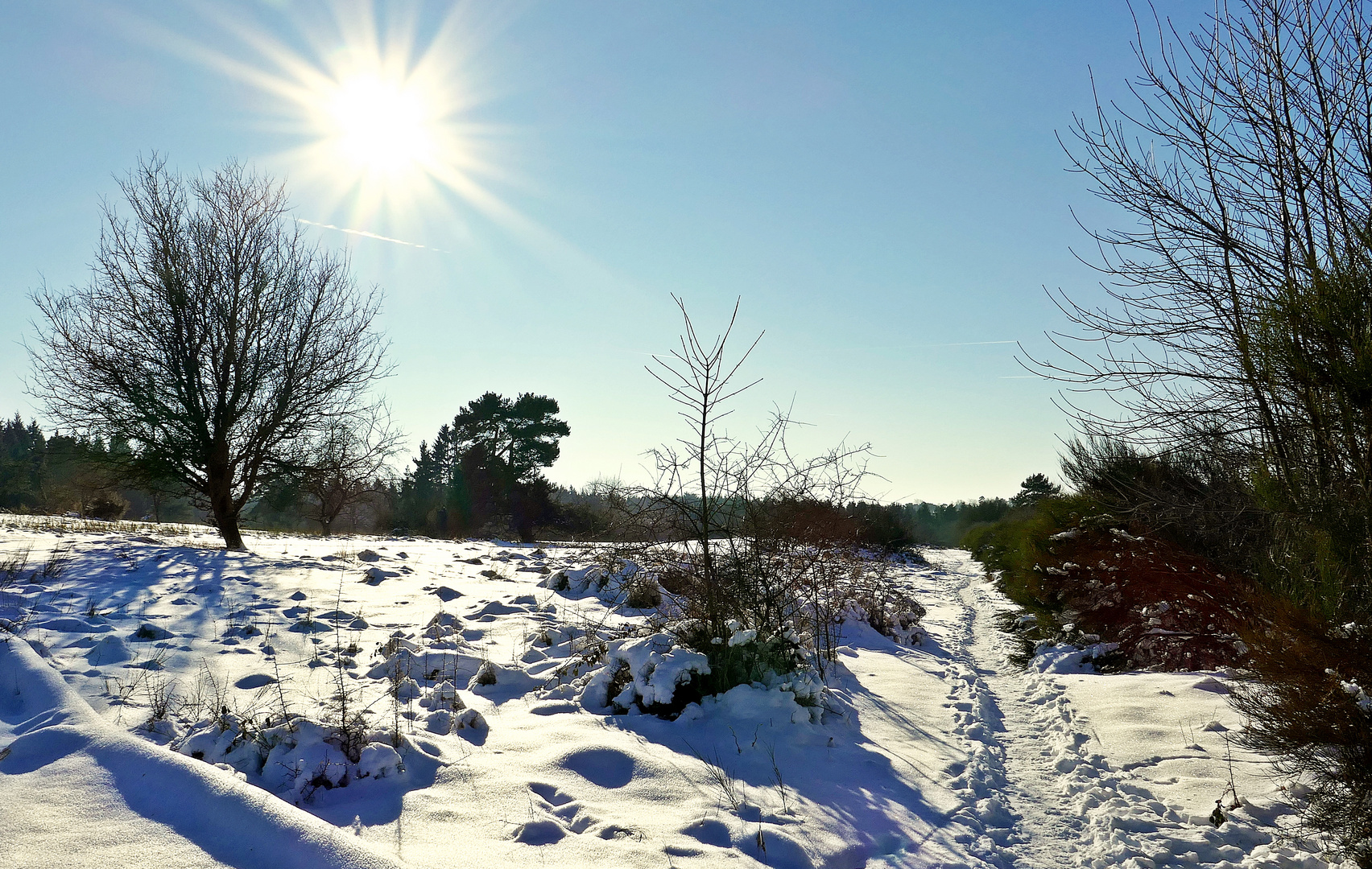 Winterwanderung